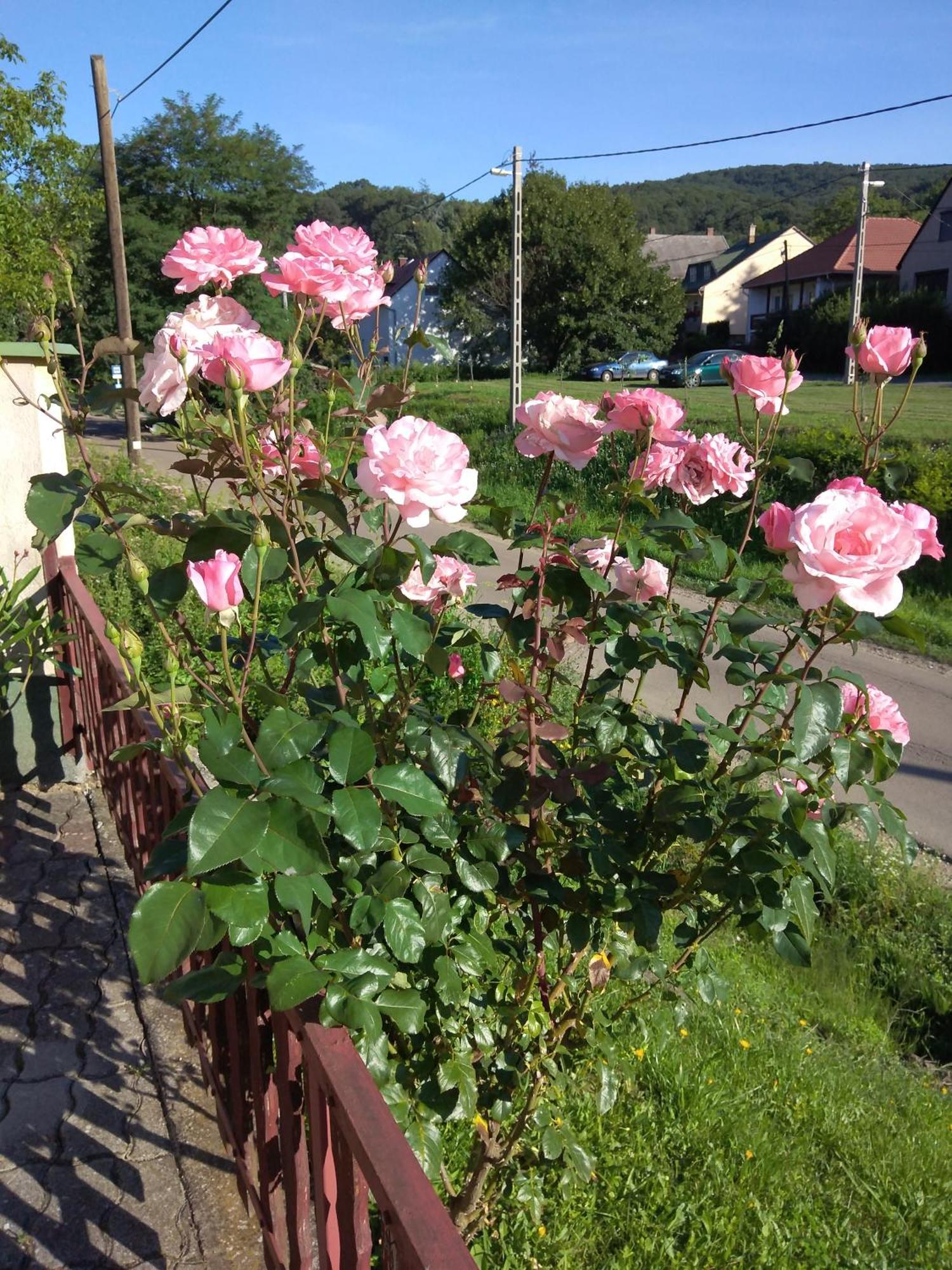 Buekk Vendeghaz Hotel Noszvaj Luaran gambar
